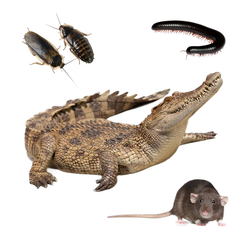 V utorok prezadíme ďalšieho headlinera Pohody 2026. Uhádnite ho a vyhrajte lístok