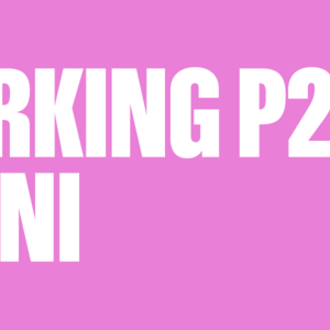 PARKING P2 – 3 dni – Pohoda festival 2026