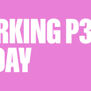 PARKING P3 – 3 days – Pohoda festival 2026