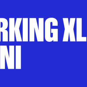 PARKING XL – 3 dni – Pohoda festival 2026