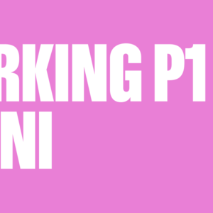 PARKING P1 – 4 dni – Pohoda festival 2026