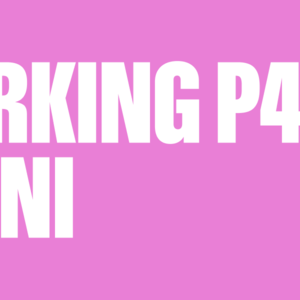 PARKING P4 – 4 dni – Pohoda festival 2026