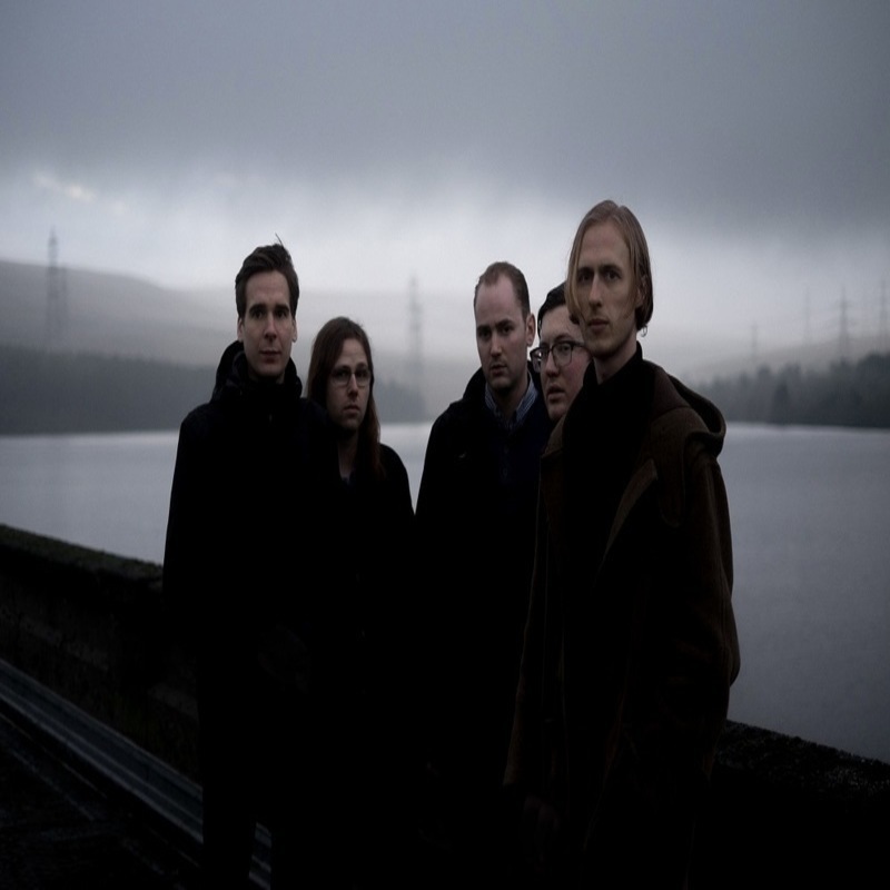 Eagulls