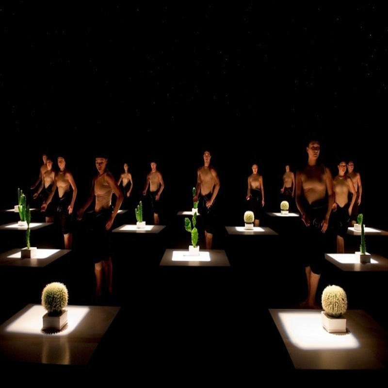 Nederlands Dans Theater 2