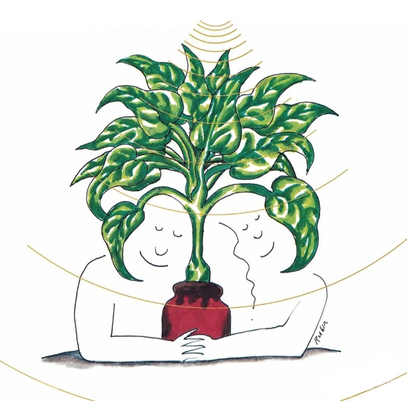 Plantasia