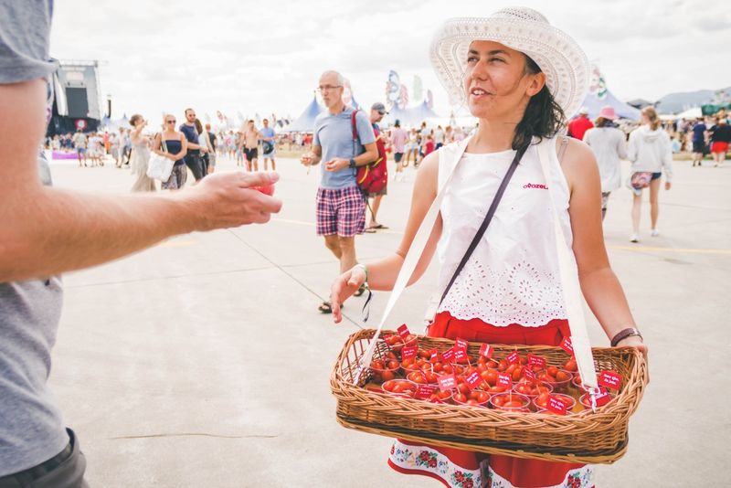 Tomatoes from Ovozela at Pohoda 2019