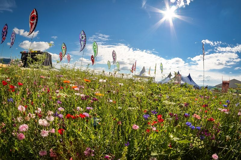 Pohodový múdry pondelok - špeciálne vydanie venované festivalu Pohoda.