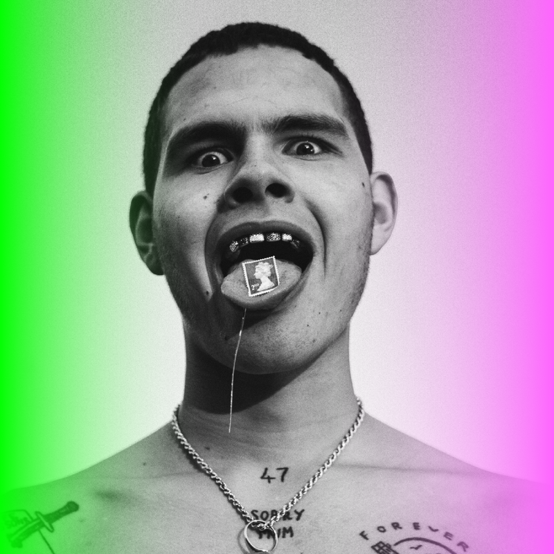 Slowthai reconfirmed for Pohoda 2021