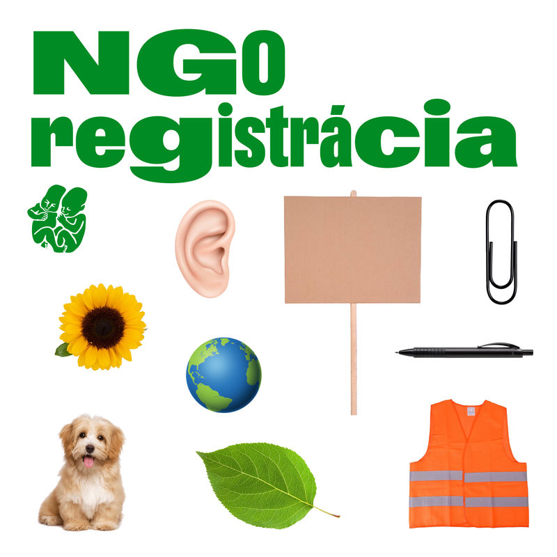 Registration for the SWISS RE NGO Passage at Pohoda 2025 Is Now Open