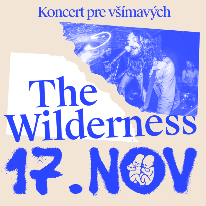 The Wilderness na Koncerte pre všímavých v Novej Cvernovke