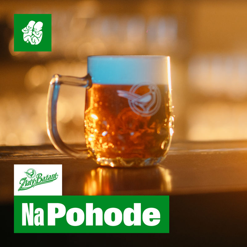Enjoy Pohoda 2025 with Bažant