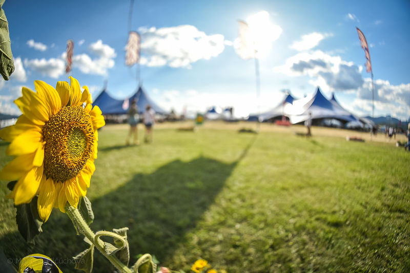 Výber z recenzií slovenských médií: Pohoda patrí medzi najlepšie festivaly, ktoré kedy na Slovensku či v Európe existovali