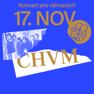 Chór vážskych muzikantov  na Koncerte pre všímavých