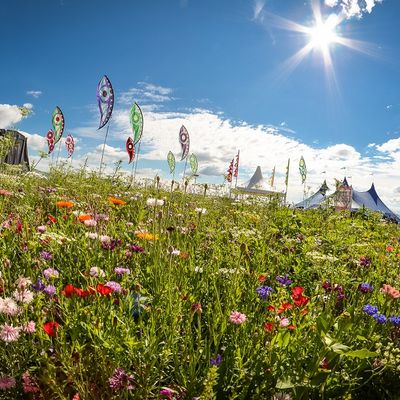 Pohodový múdry pondelok - špeciálne vydanie venované festivalu Pohoda.