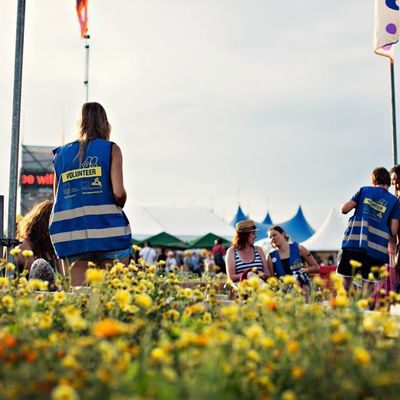 Record number of volunteers