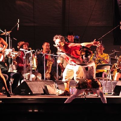 Shibusa Shirazu Orchestra