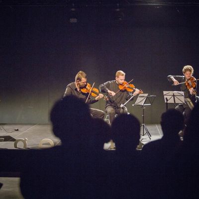 Šostakovič/Svedectvo - Roth, Lupták a String Quartet
