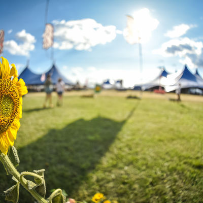 Výber z recenzií slovenských médií: Pohoda patrí medzi najlepšie festivaly, ktoré kedy na Slovensku či v Európe existovali