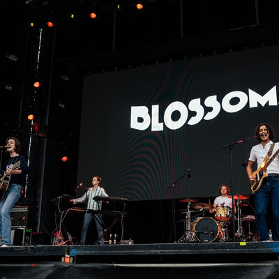 Recordings from Blossoms concert live at Pohoda 2018