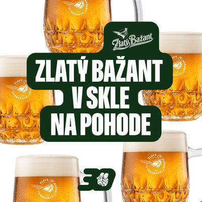This year again, you can enjoy beer and radler in glass bottles at the Zlatý Bažant zone