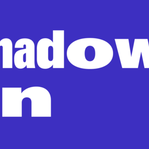 Shadow Inn /2025/