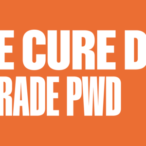 One Day Ticket – The Cure Extra Day – Adult PWD UPGRADE | July 8, 2026, Trenčín Airport